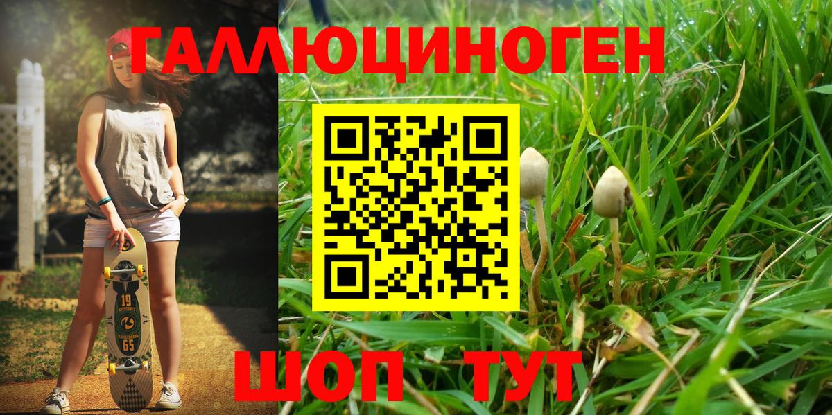 Псилоцибиновые грибы мицелий  Псилоцибиновые грибы Psilocybe  Вход с VPN  Красный Сулин 